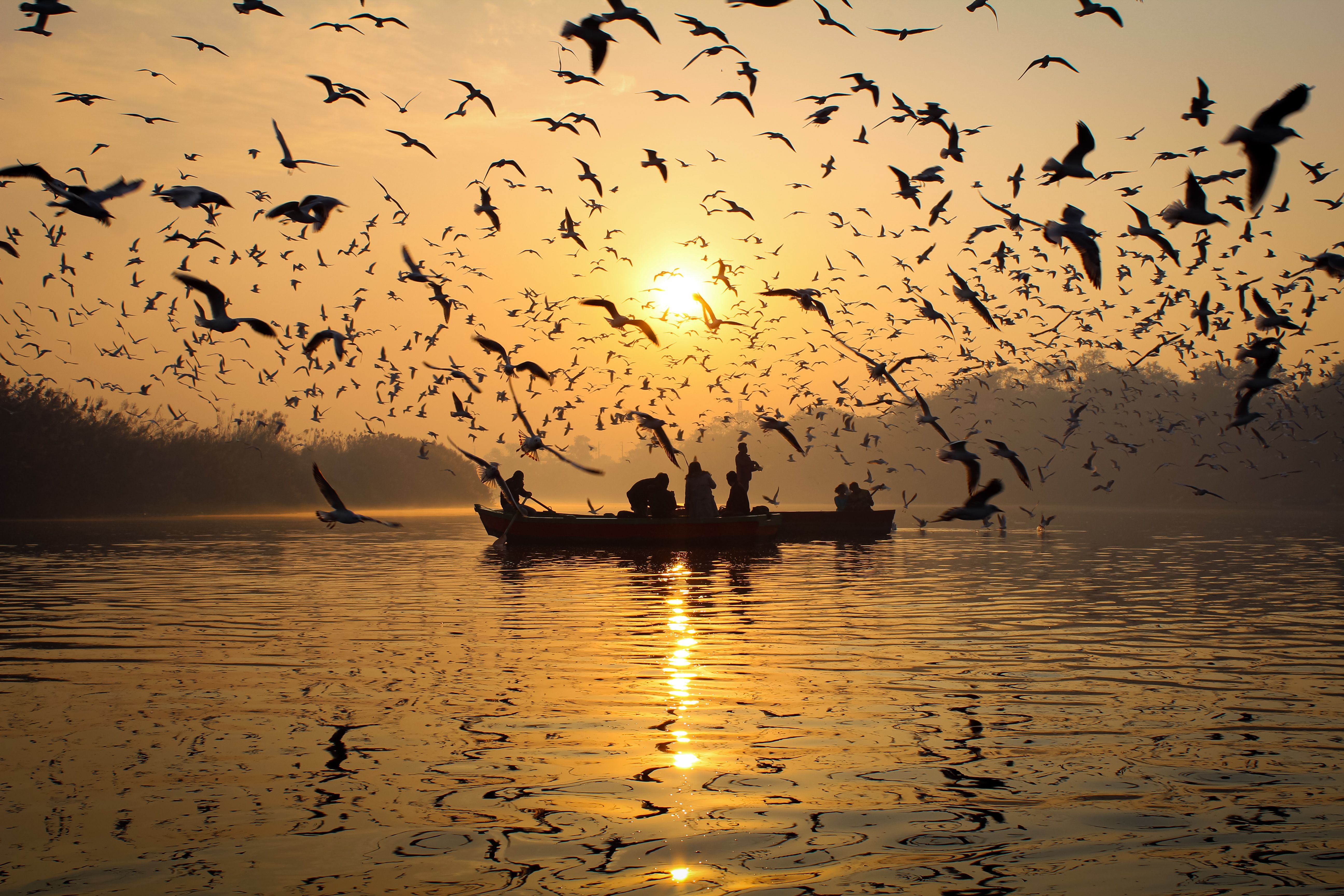 Delhi trials Sonia Vihar–Jagatpur Yamuna cruise route ahead of November launch