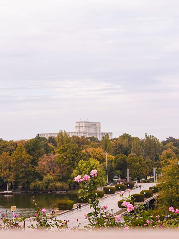 Park Near City Boardwalk And Water