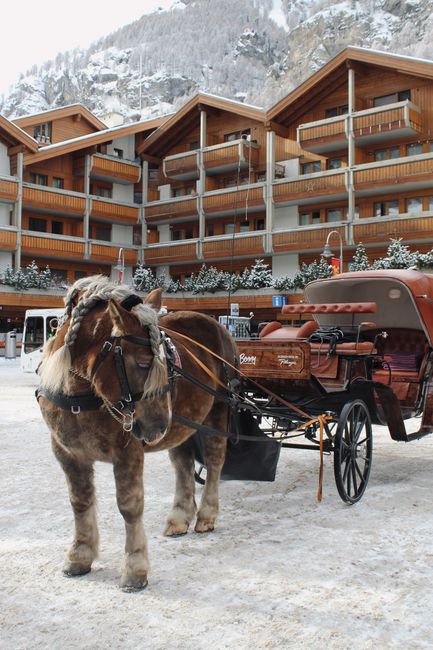 A horse in a bridle harnessed to a carriage stands on snow-covered ground in a picturesque alpine village.