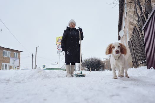 Elderly woman with a dog shoveling snow on a city street in winter.