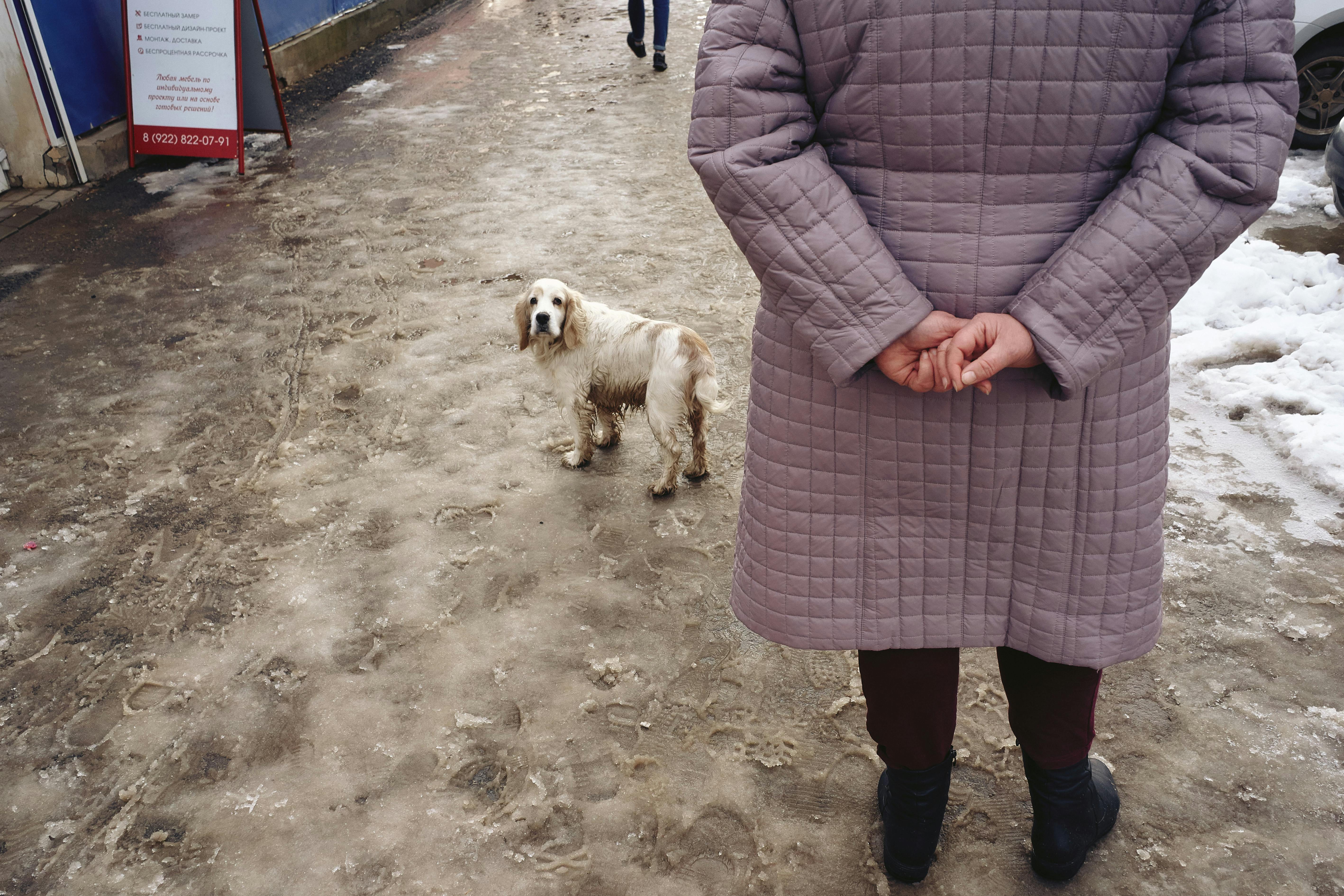 Why Do Dogs Have Wet Noses? Discover Their Fascinating Secrets! 9 Can a Dog's Wet Nose Predict Weather Changes? The Fascinating Truth Behind This Belief