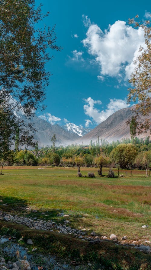 A Green Grass Field With Trees and Mountains Under the Blue Sky