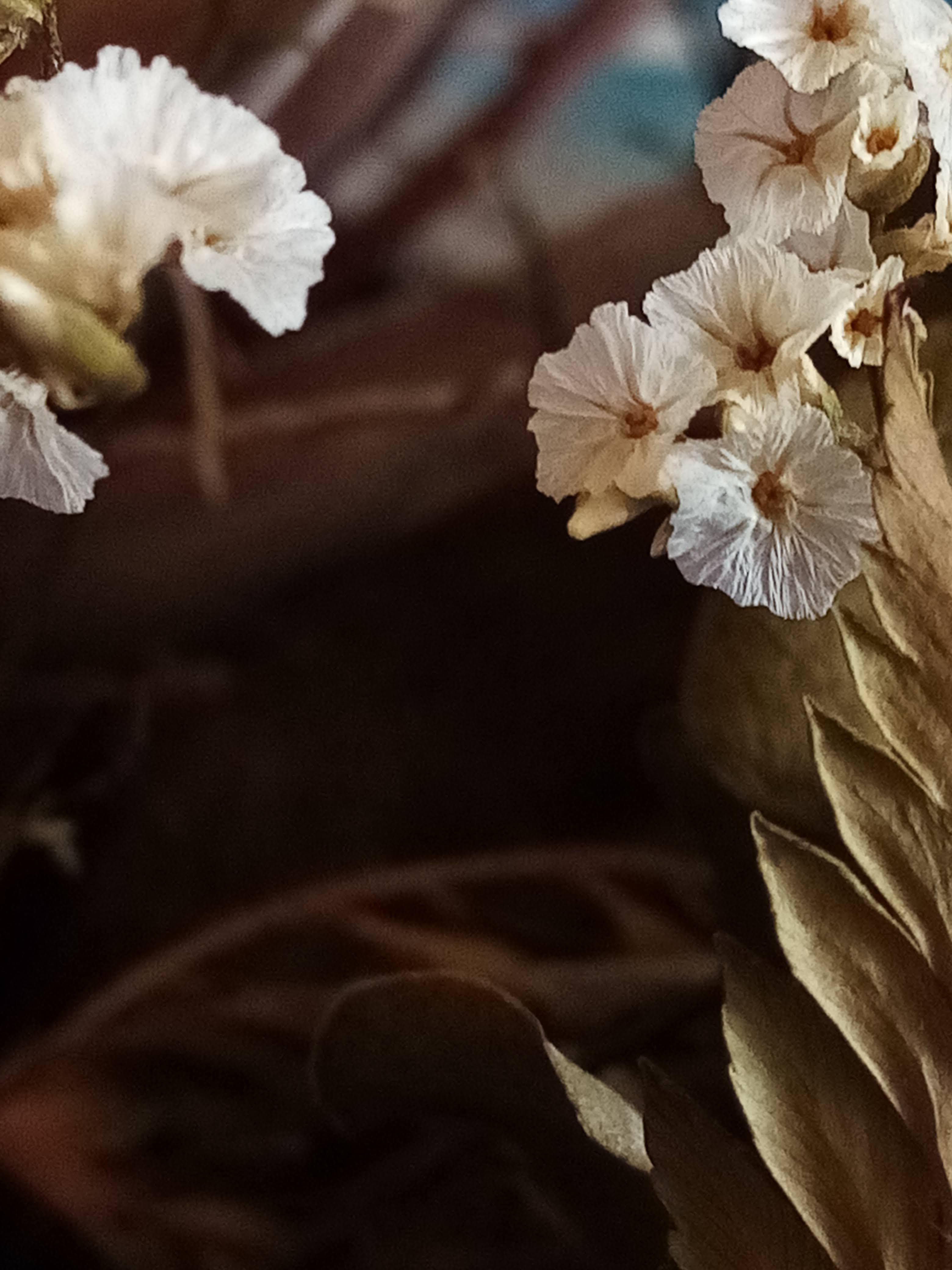 아반떼 이미지 (Pexels)