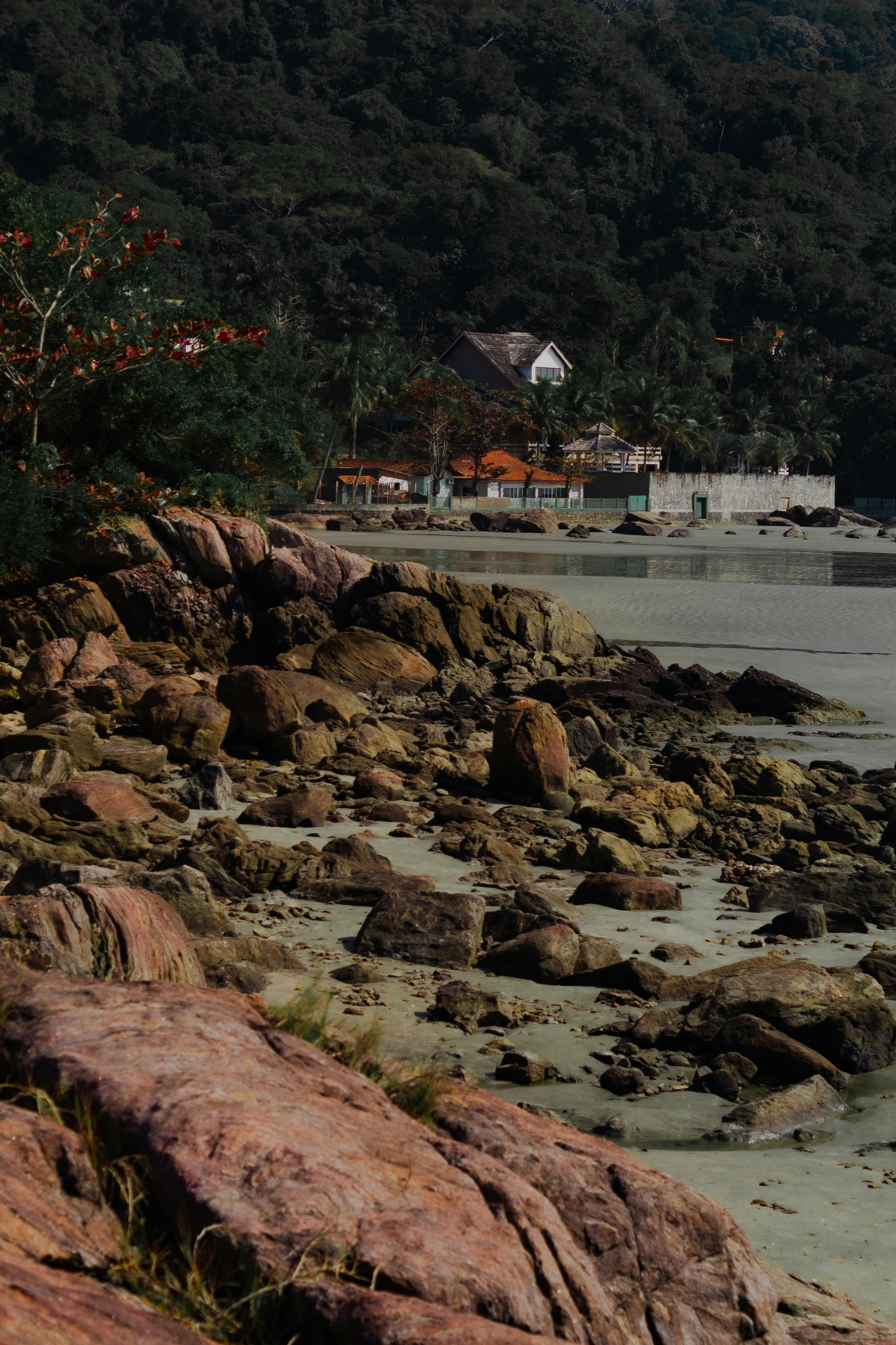 Wallpapers 3 Photos & Videos Collected by MIllena Macedo