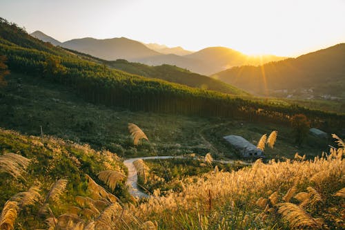 天空, 太陽, 山 的 免費圖庫相片