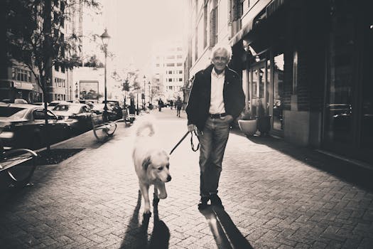Free stock photo of man, street, walking, sidewalk