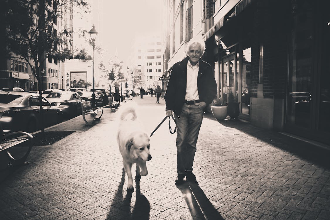 Man Walking With Golden Retriever