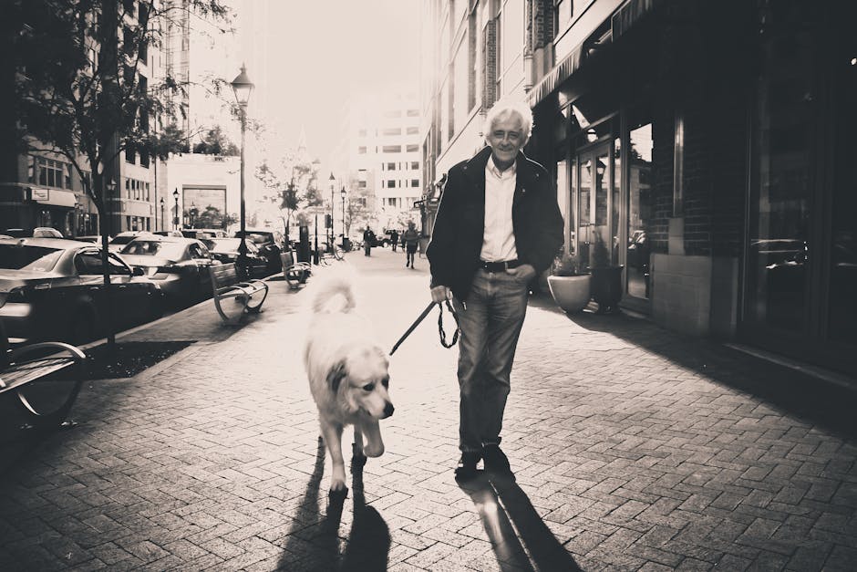 dog, man, pedestrian