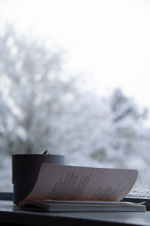 Free Book and plant by a window with a snowy backdrop, ideal for relaxation themes. Stock Photo