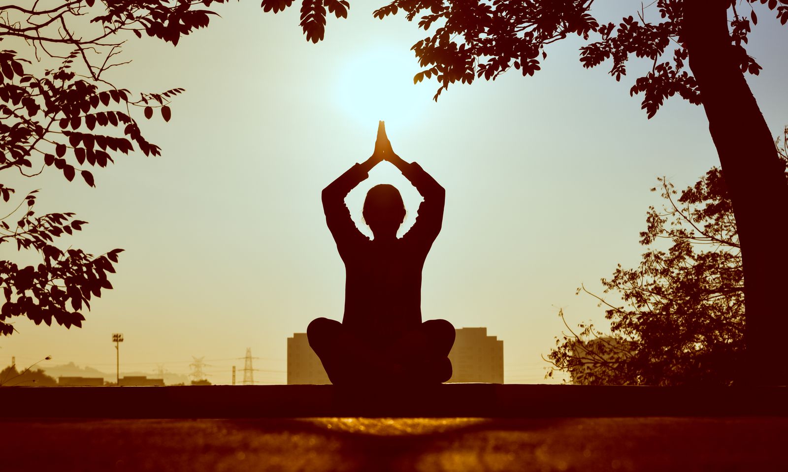 Lawn Aerobics & Yoga