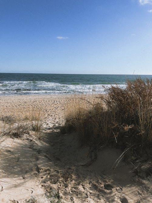 Ilmainen kuvapankkikuva tunnisteilla hiekka, hiekkaranta, meri