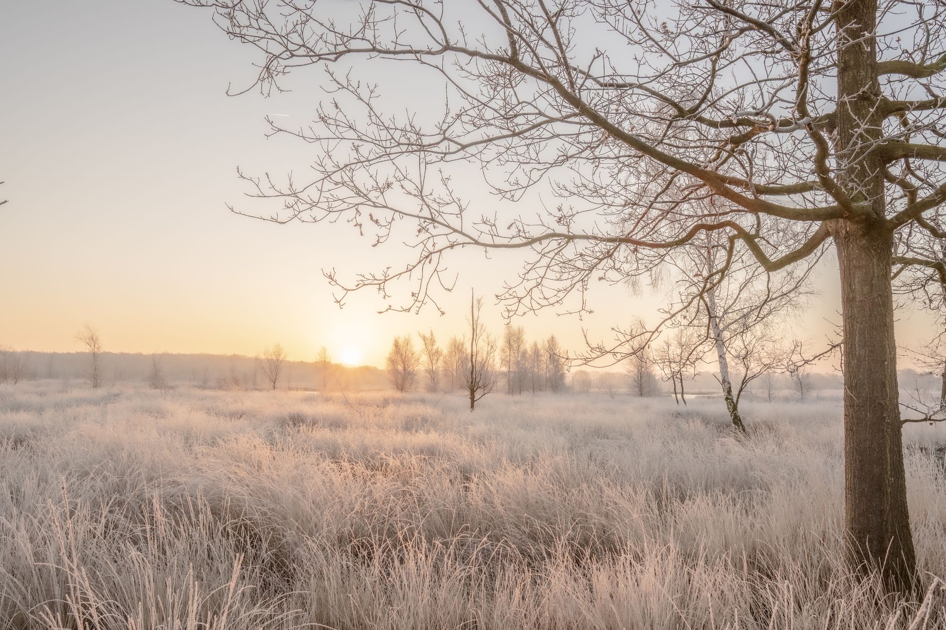 Winter Vol Liefde-koppel blijft dankzij crowdfunding op boerderij in Frankrijk