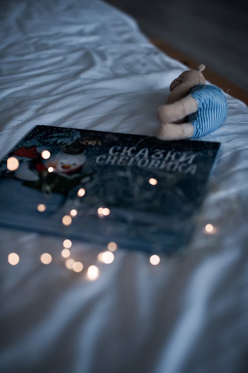 Teddy Bear and Book on Bed