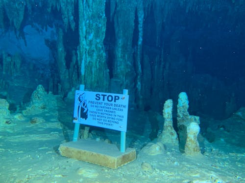 A Warning Sign Underwater