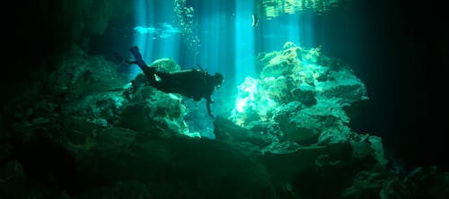 Бесплатное стоковое фото с дайвер, исследование, коралловый риф