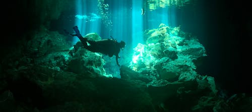 Diver and Coral Reef