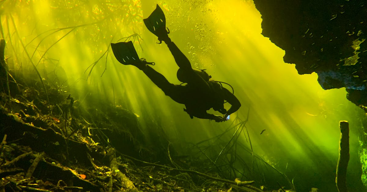 Deep Echo Cartography 1 image text