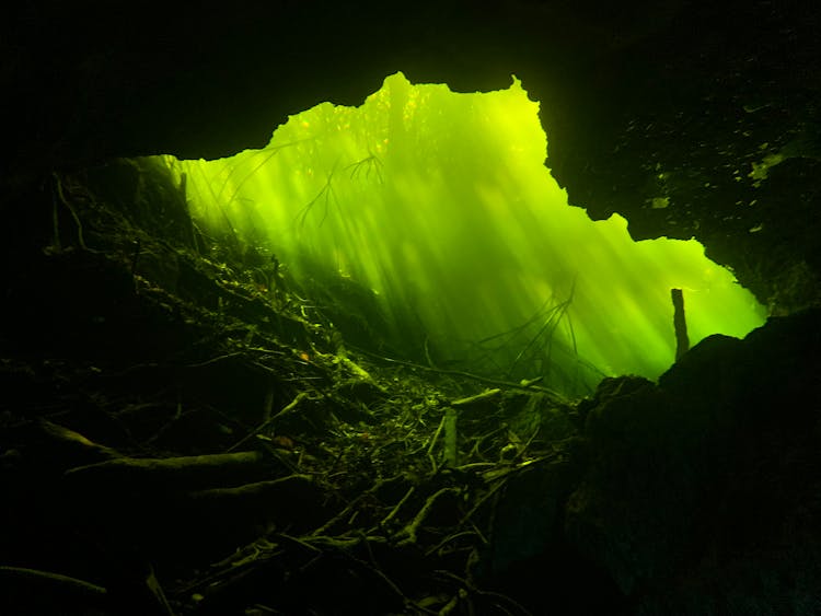 Underwater Photography Of Cave With Tree Roots And Rays Of Light