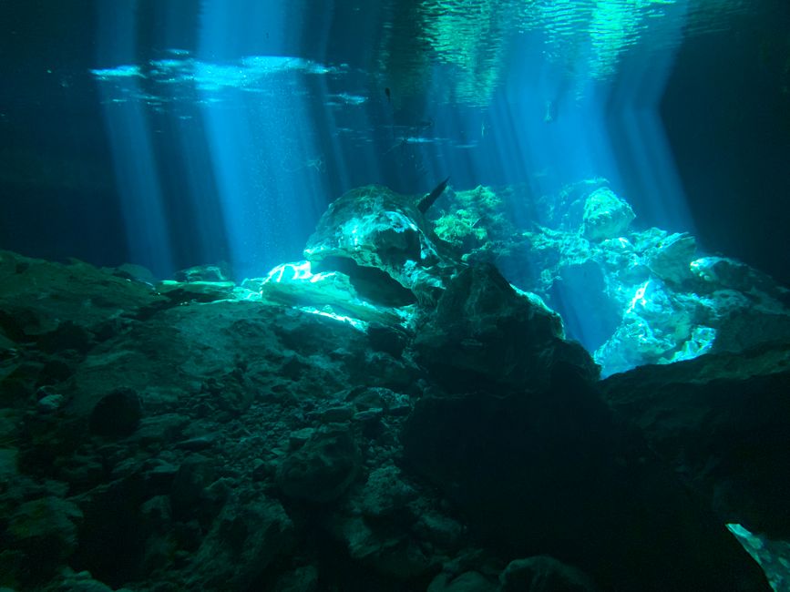 Diving in Phu Quoc: Discovering the Depths Diving in Phu Quoc: Discovering the Depths