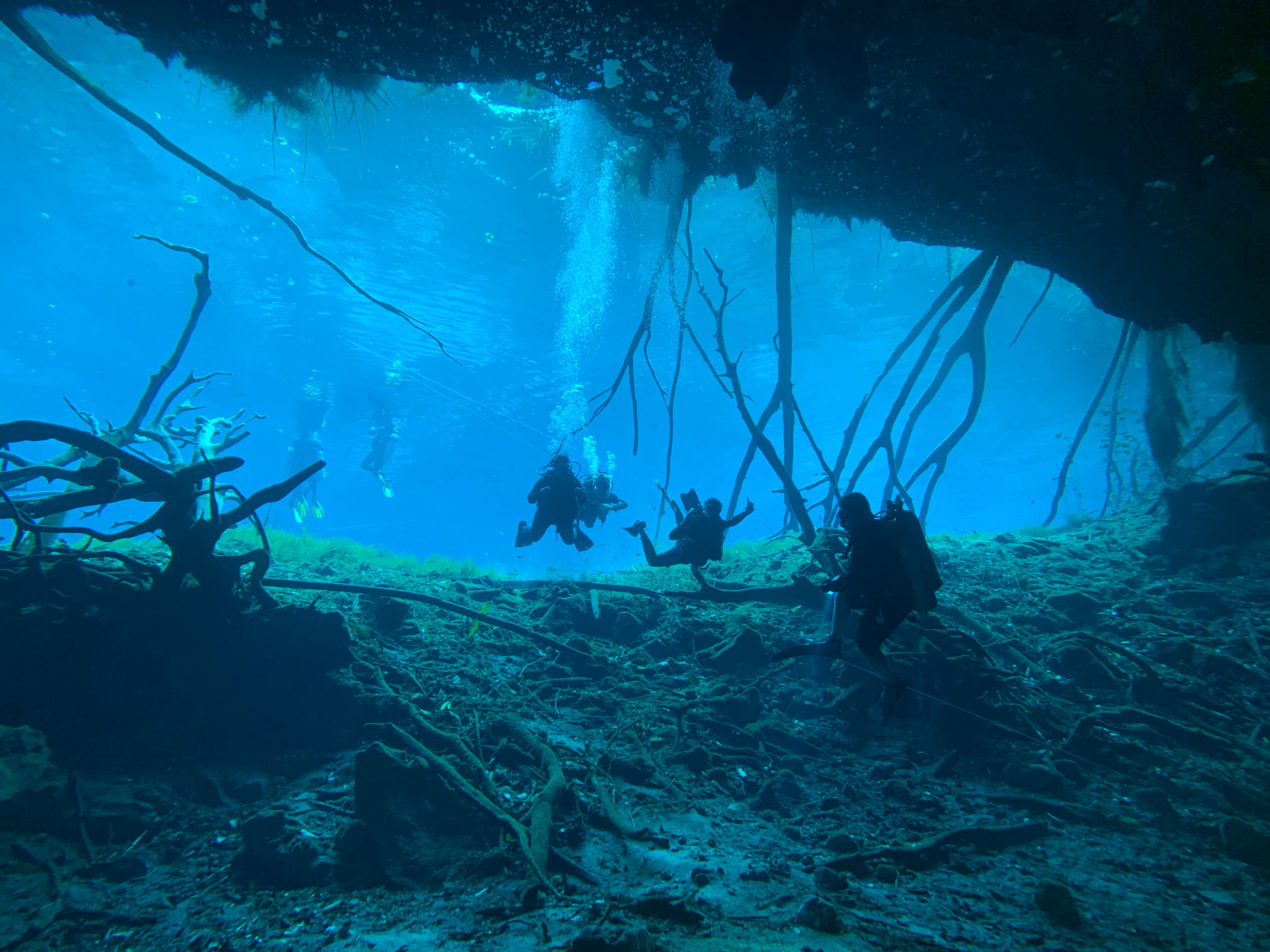 Divers exploring a submerged gallery in a Riviera Maya cenote