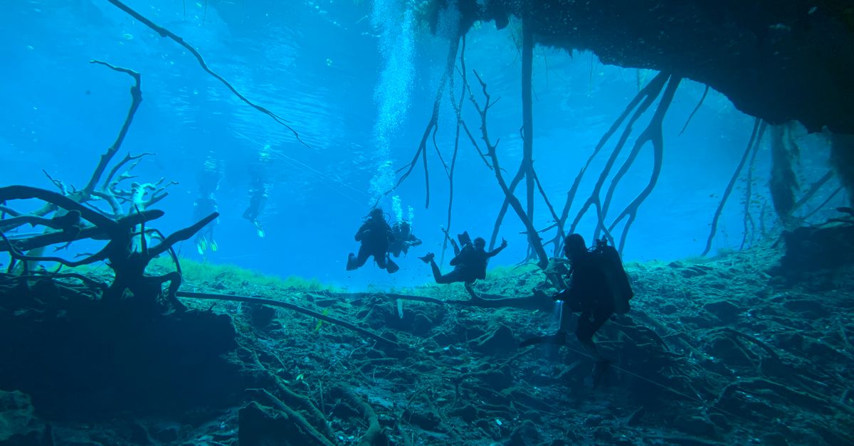 Scuba divers exploring an underwater cave with breathtaking blue water and intricate rock formations.