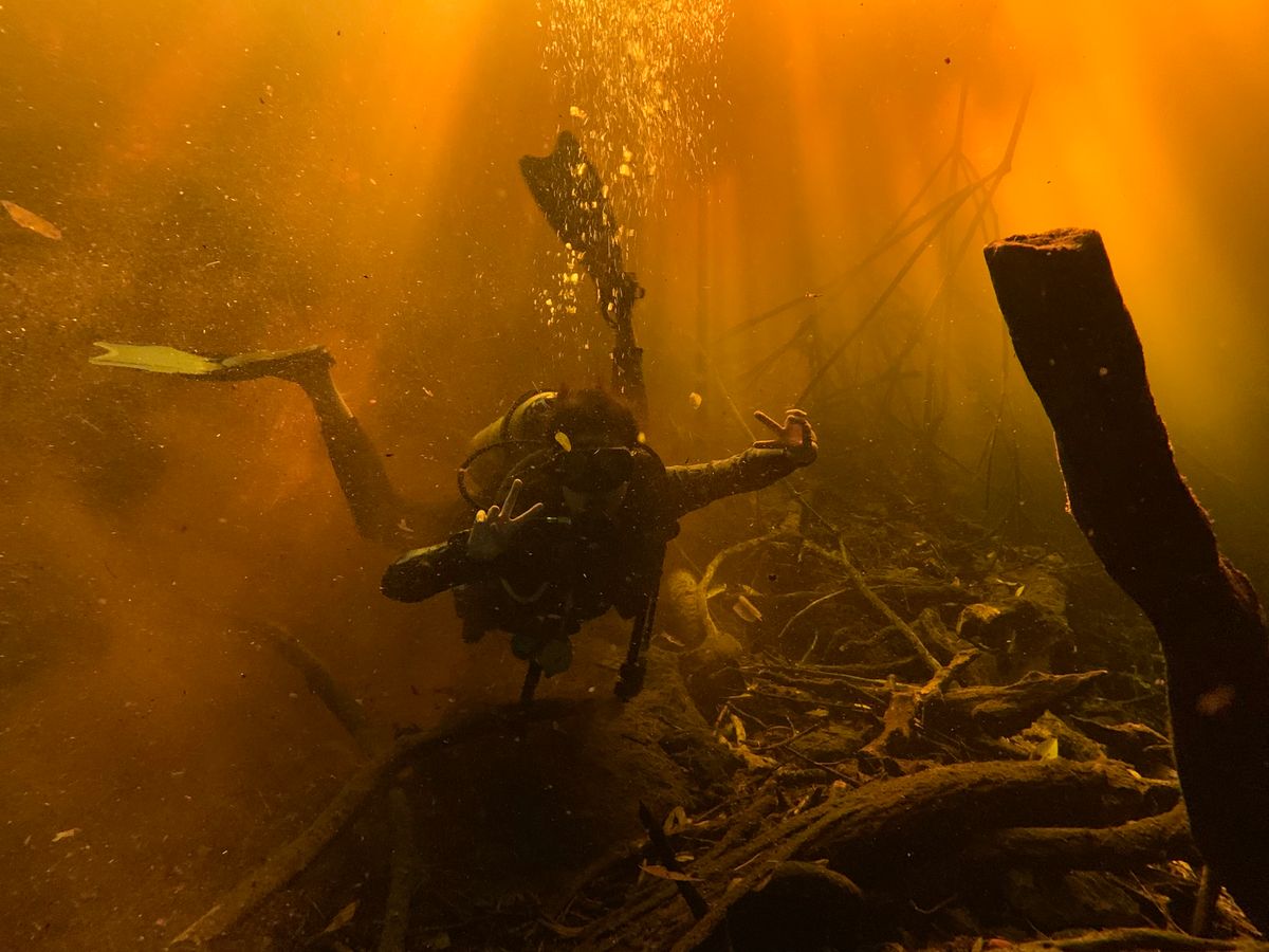 A diver exploring a sunlit freshwater dive site with beams of light through the water