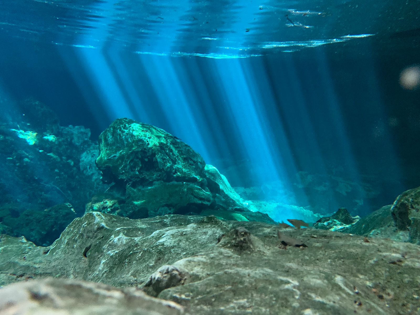 Underwater rock and light stock visual