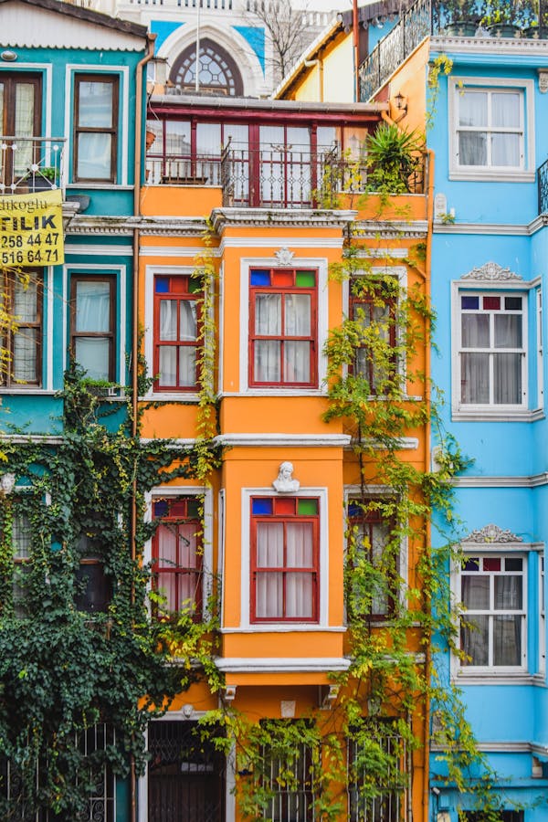 Colorful Facades with Creepers