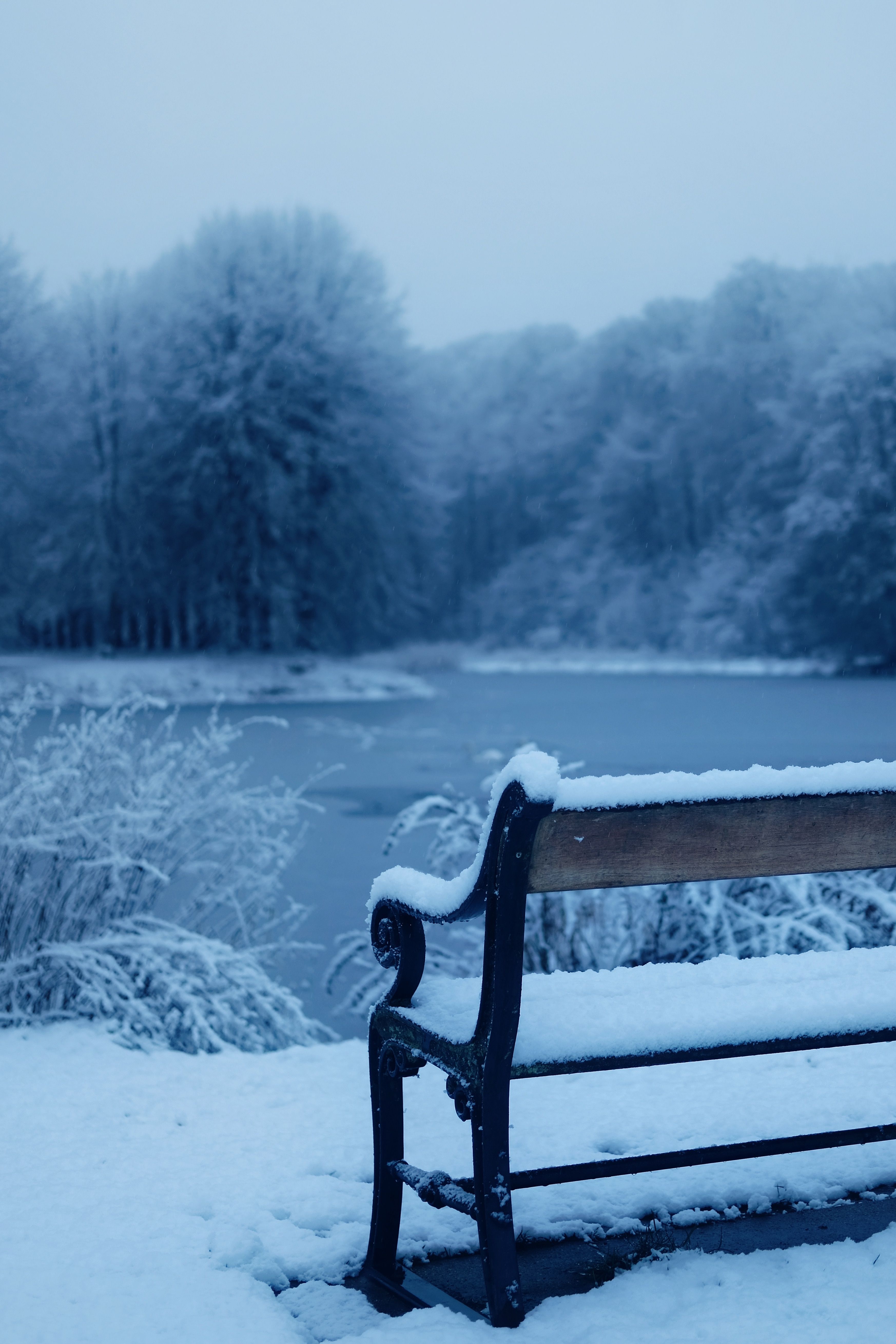 A Brown Wooden Bench Covered With Snow · Free Stock Photo