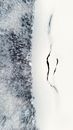 Aerial View of Frozen River Running Through Taiga in Winter