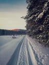 Free stock photo of cold, dawn, dji