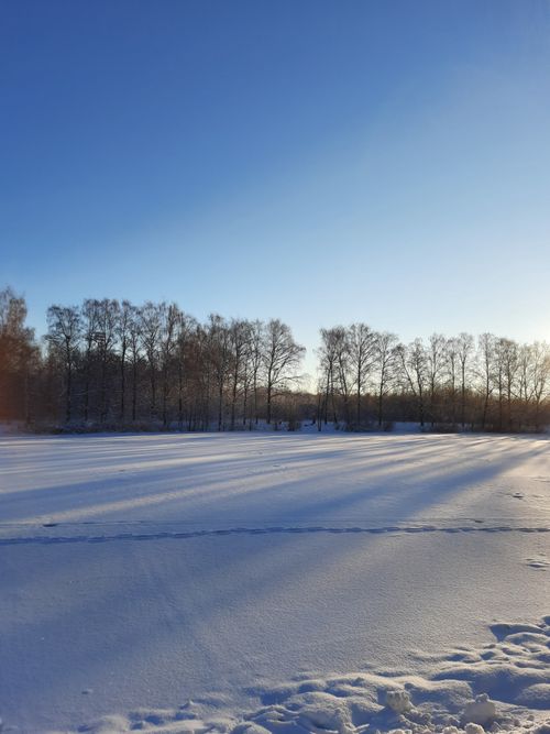 Free A serene winter landscape with snow-covered fields and bare trees in Nizhnij Novgorod, Russia. Stock Photo