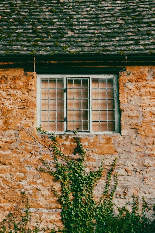 Free White Framed Window on Orange Stone Wall Stock Photo
