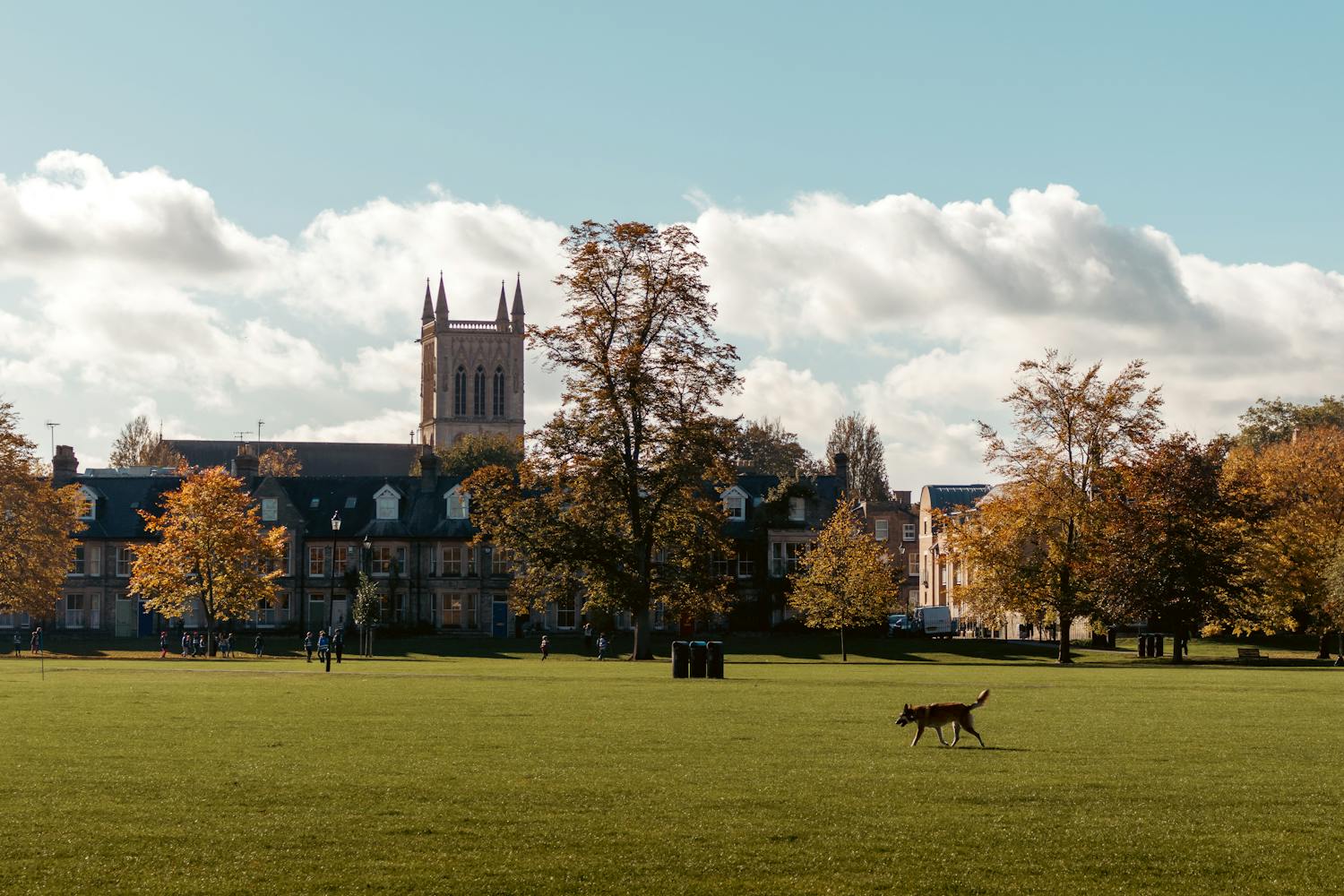 Scenic autumn view of a college campus with trees and architecture