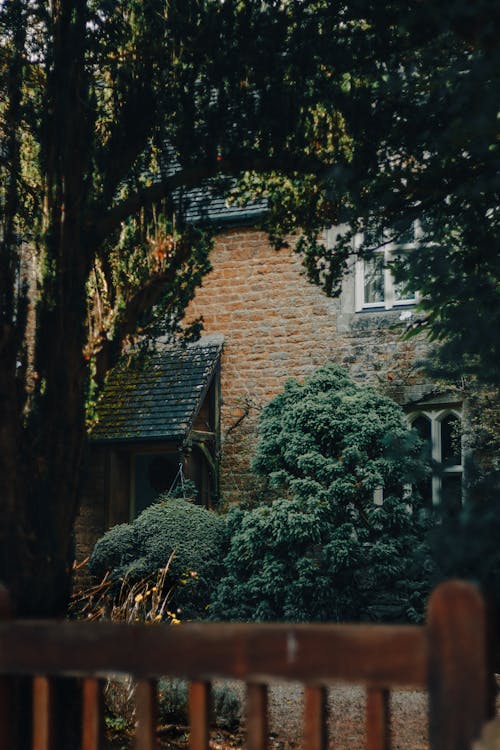 Green Trees Near the Brown Brick Building 