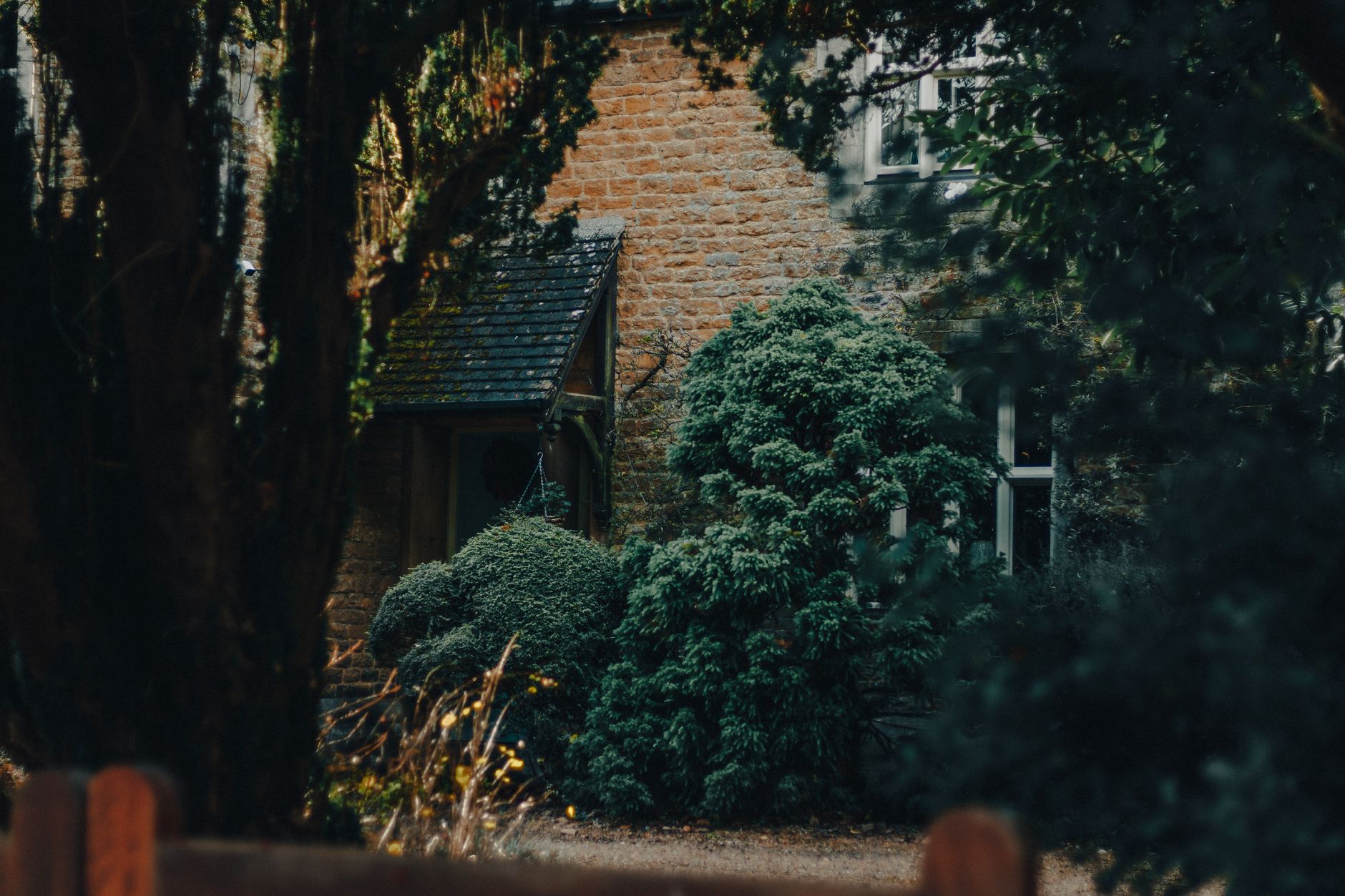 Explore a rustic house facade with lush greenery and a warm, inviting entrance, framed by mature trees.