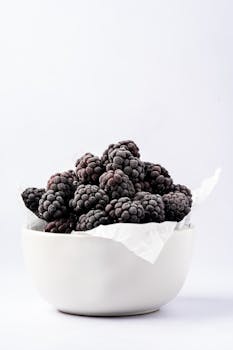 Delicious ripe blackberries in a white bowl with soft lighting and a clean background.