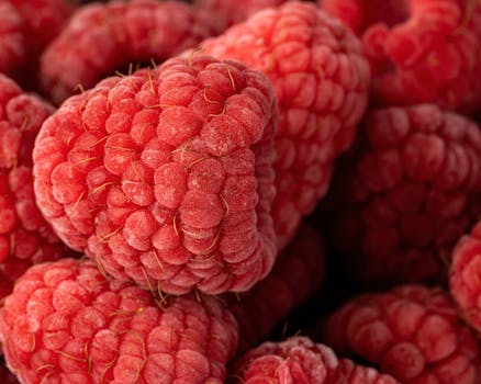 Vibrant close-up of fresh red raspberries with detailed texture, perfect for food-related content.