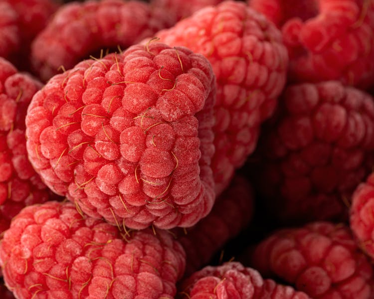 Red Raspberries In Close-up