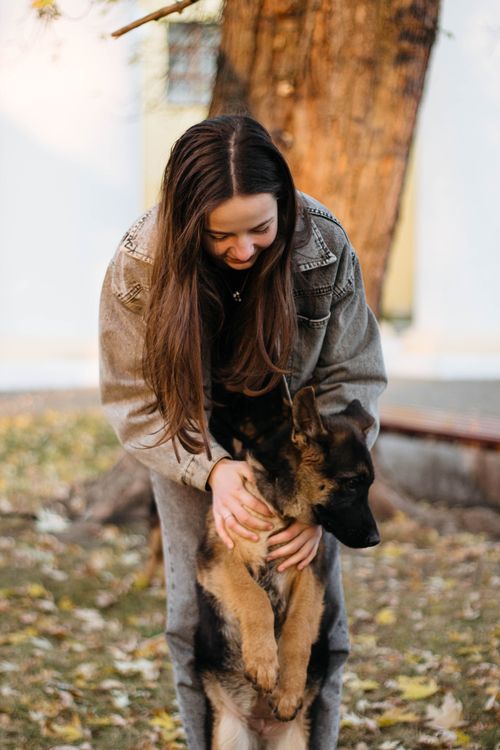 Free Woman in gray jacket affectionately pets her German Shepherd puppy outdoors. Stock Photo