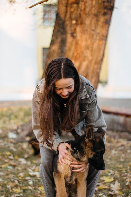 Free A young woman lovingly pets her German Shepherd under a tree in a serene autumn park. Stock Photo