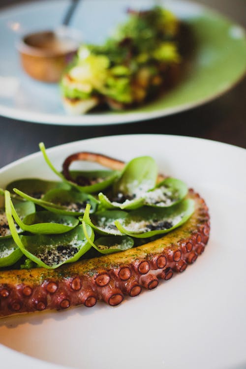 Close up of Food on Plates