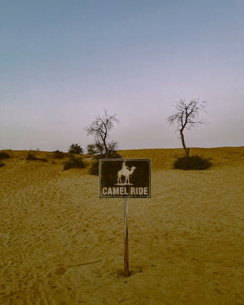 Sign in Wild Desert Area