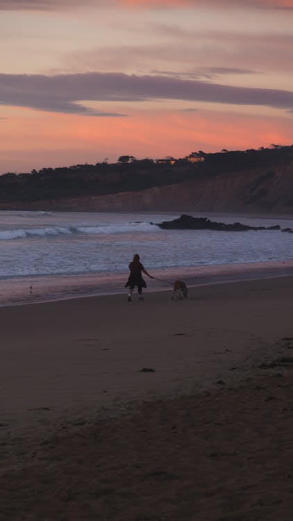 A Person Walking a Pet Dog on the Beach at Sunrise