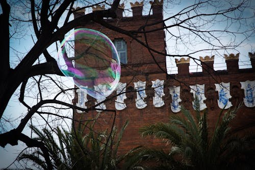 Free stock photo of soap bubble