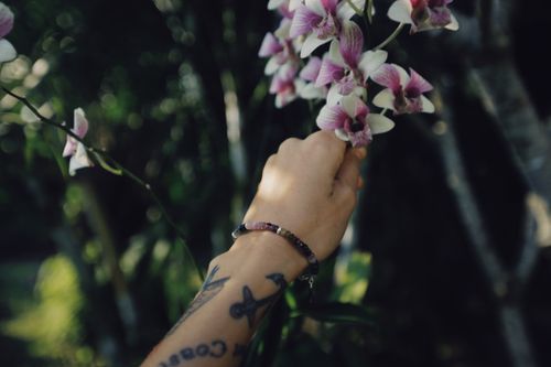 Free A tattooed hand holds pink orchids against a blurred green background in daylight. Stock Photo
