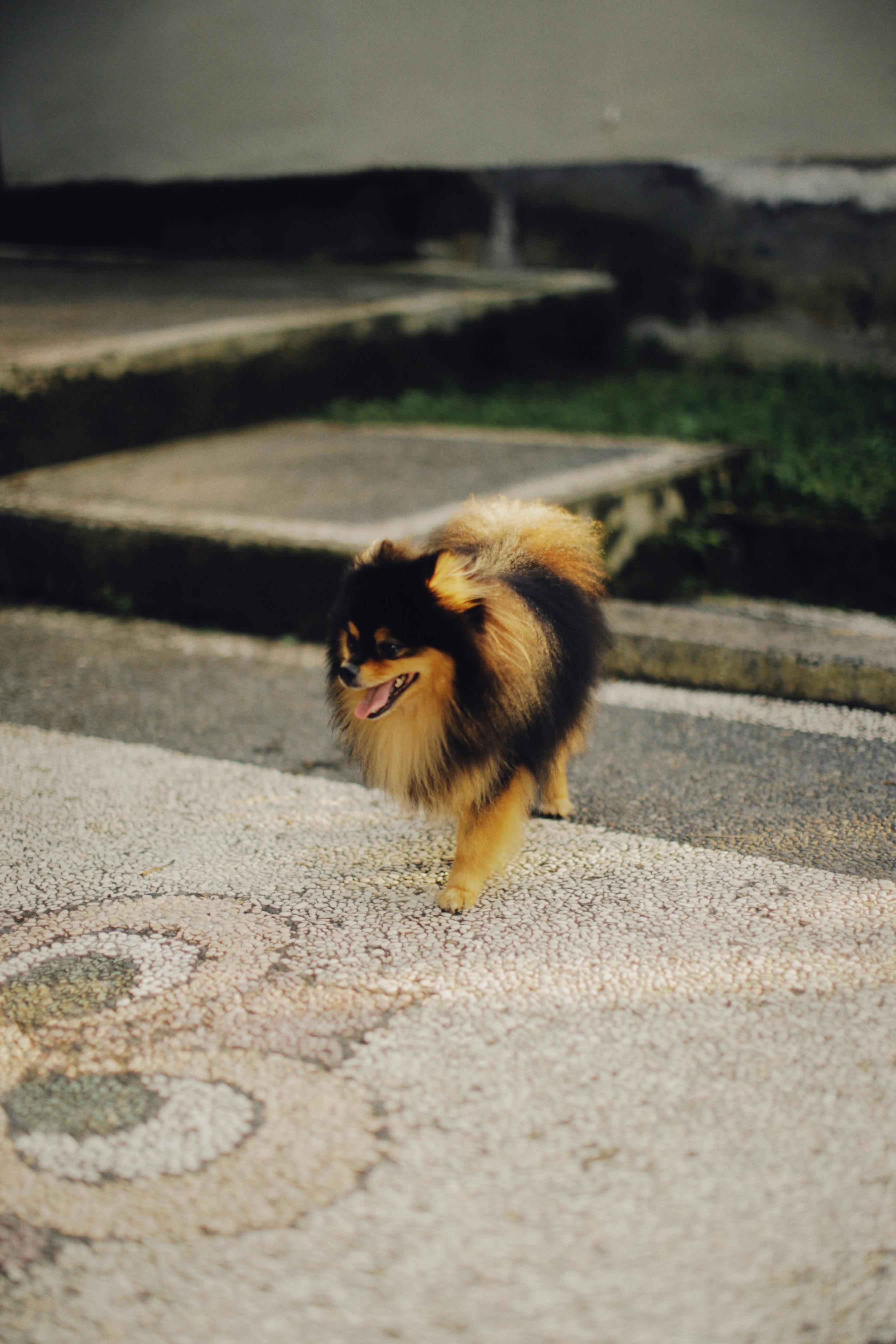 Vintage Aesthetic Wallpaper of Taehyung and Yeontan