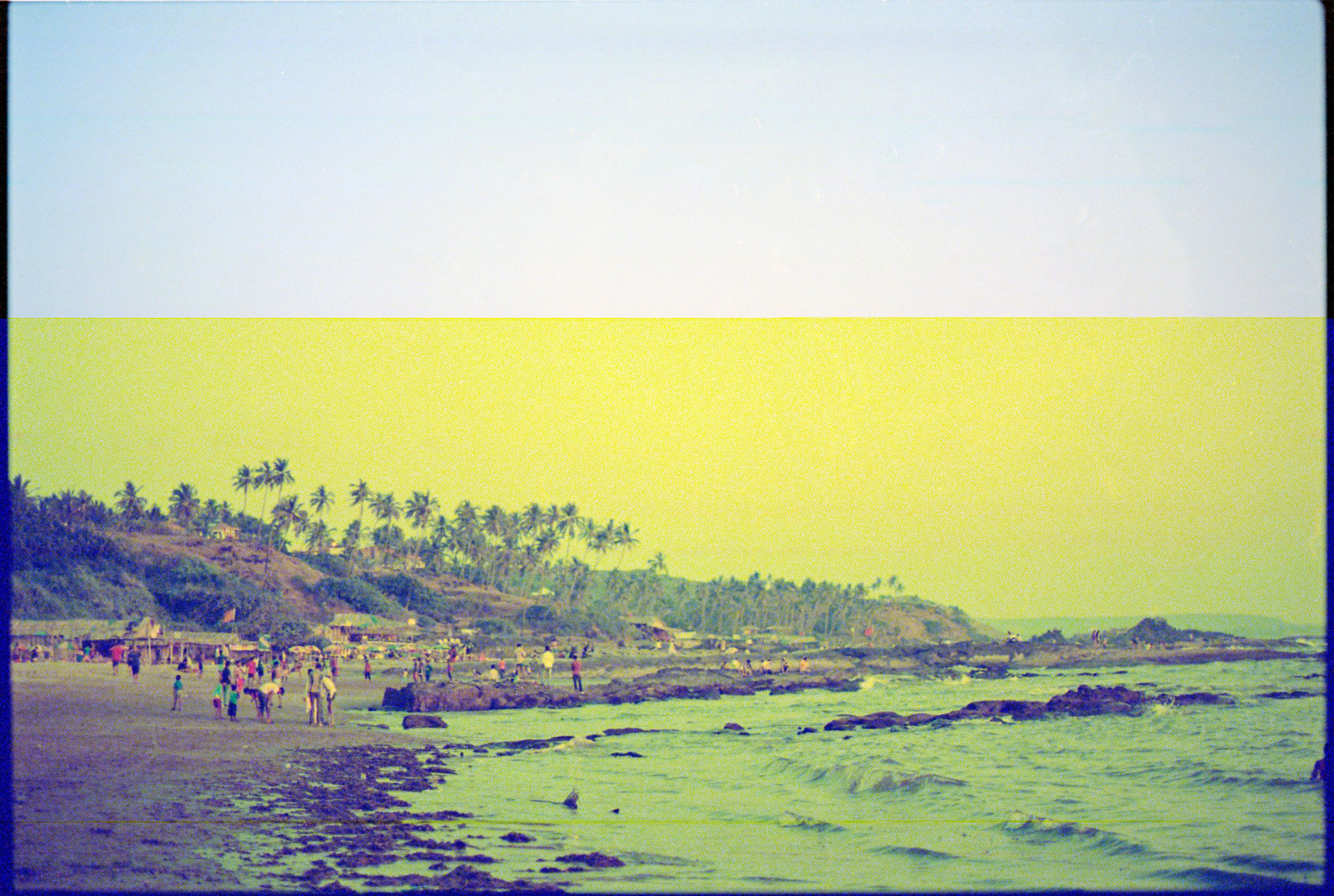 A nostalgic beach scene with palm trees and a bustling shoreline. A nostalgic beach scene with palm trees and a bustling shoreline.