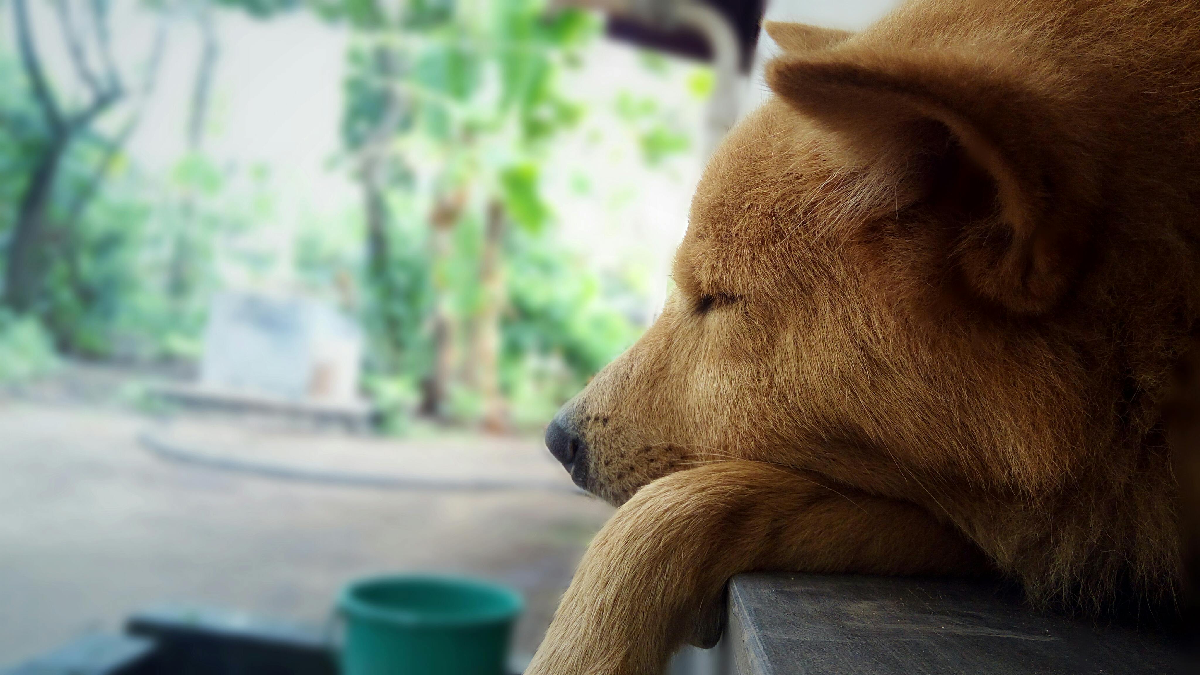 立派な 悲しい 画像 素材 イラスト 写真