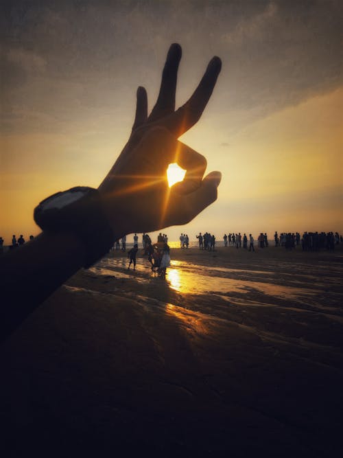 Free Silhouette Photography of People Near Body of Water Stock Photo